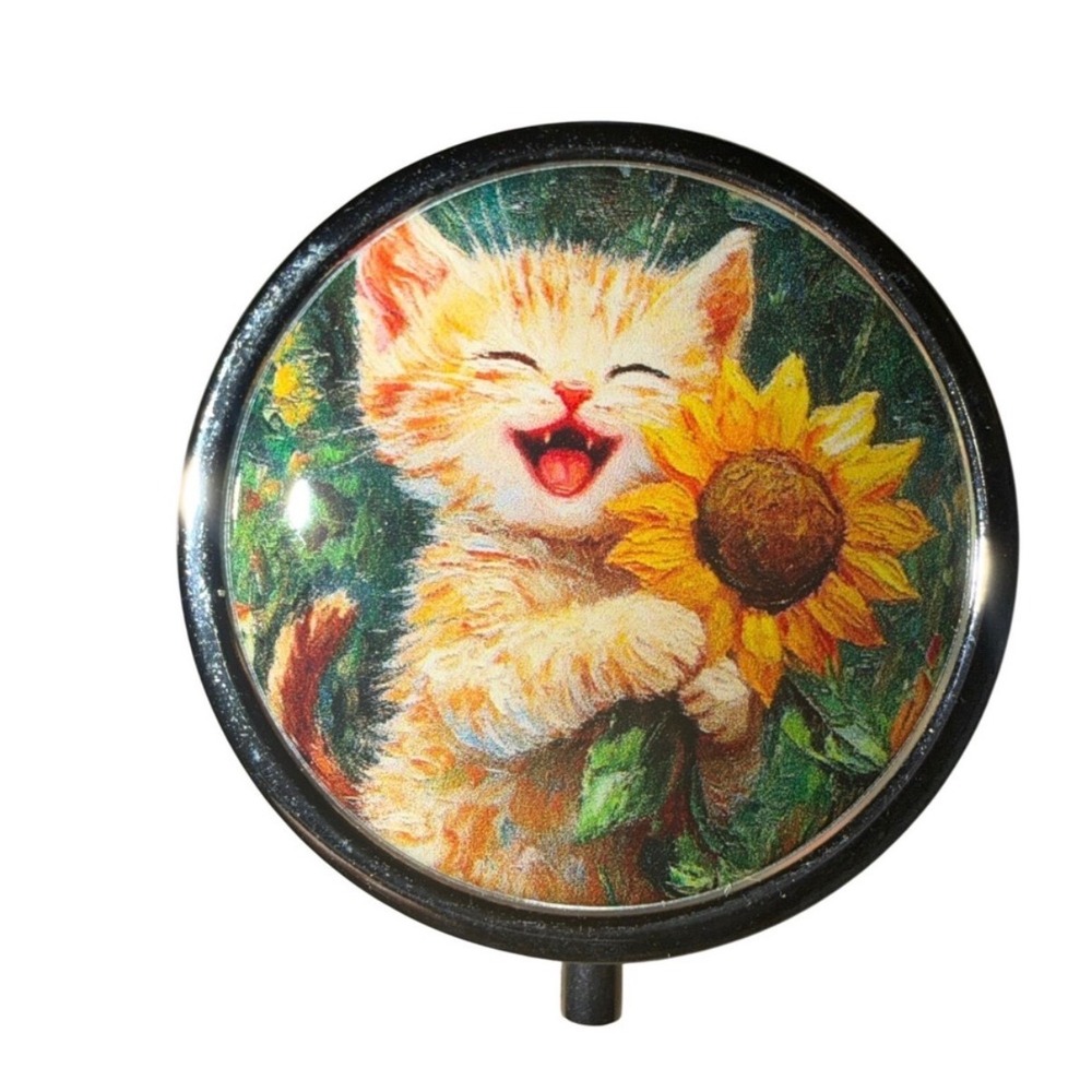 Orange Cat Sunflower Tabby Pill box Jewelry case New